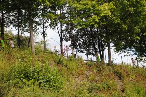 Hessenfinale „Kinderleichtathletik-Teamwettbewerb U12“ – Team „Hünfelder SV 1“ holt sich auf der Rhönkampfbahn in Hünfeld die Hessenmeisterschaft