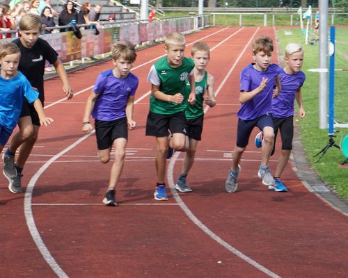 Kreismeisterschaften 800m und Weitsprung in Neuhof